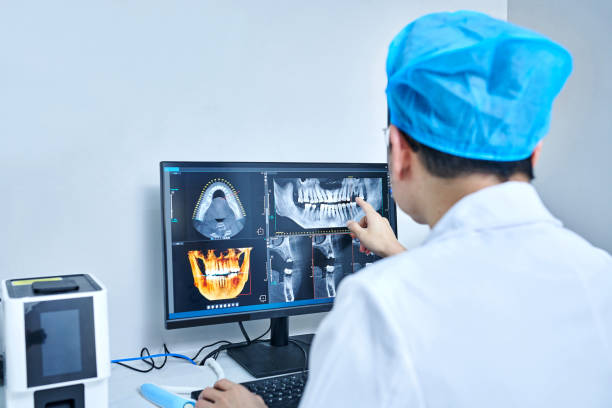 Best Emergency X-Rays and Diagnostics in Thatcher, UT